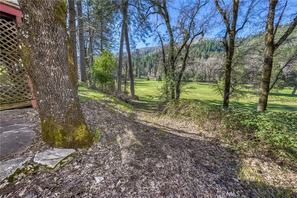 16345 Tee Road Cobb, CA 95426 - Photo 29 of 35