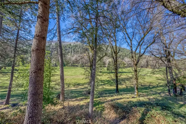 a view of outdoor space and garden