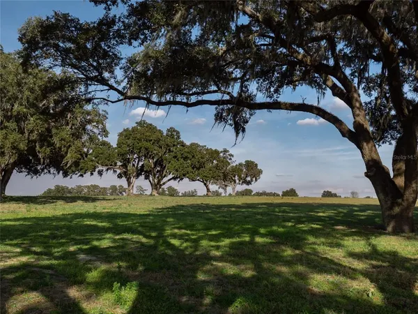 a view of a park