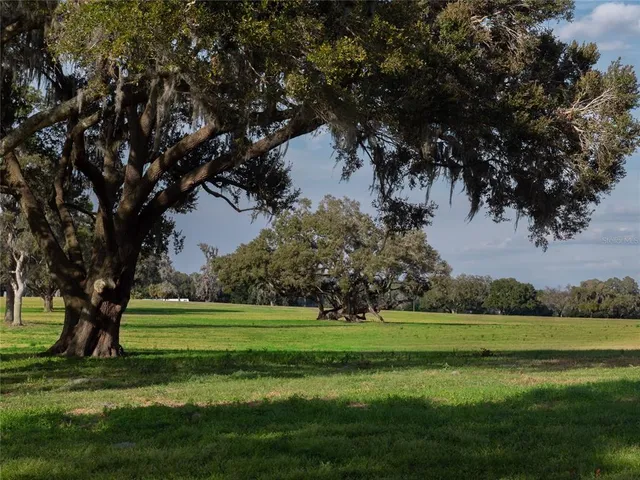a view of a golf course