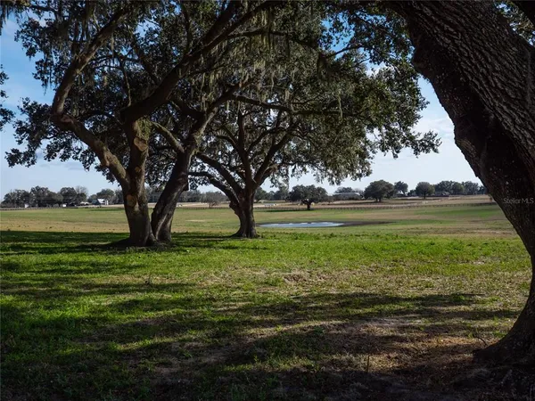 a view of outdoor space with green field and trees
