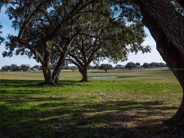 a view of outdoor space with green field and trees