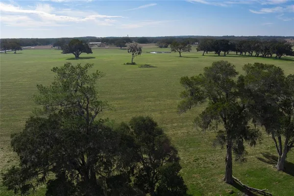 a view of a green field with clear sky