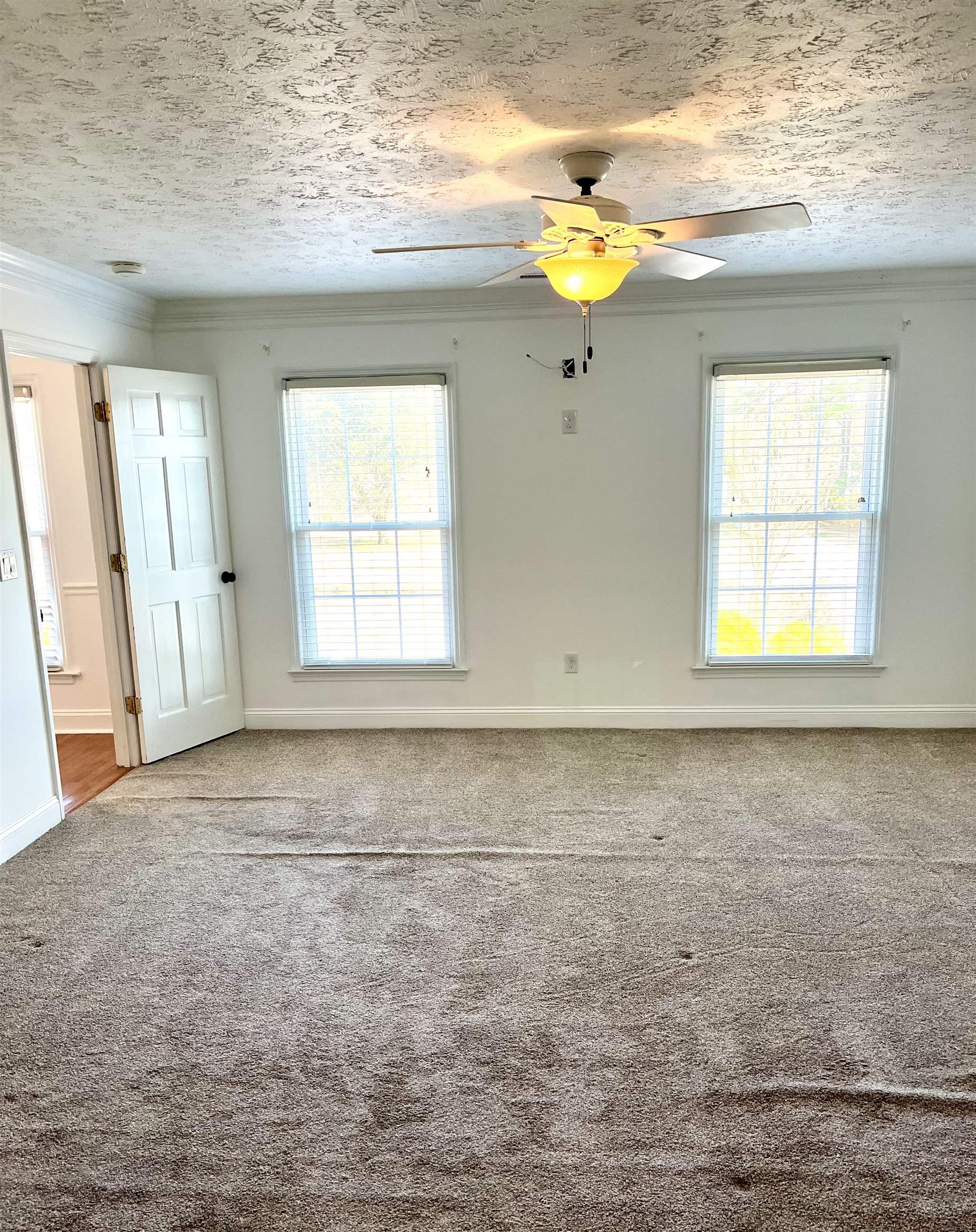 3957 Long Ave Extension Conway, SC 29526 - Photo 24 of 40