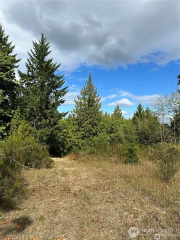 a view of a yard with an trees