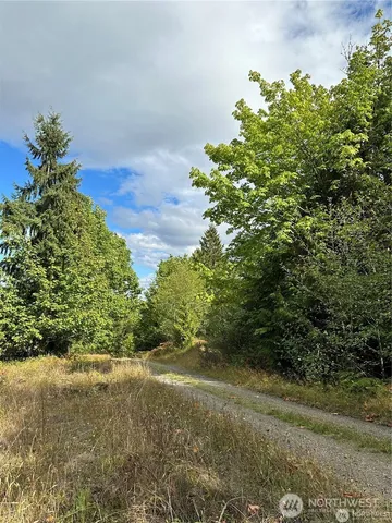 a view of a yard with plants and a trees
