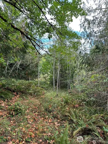 a view of outdoor space and green space