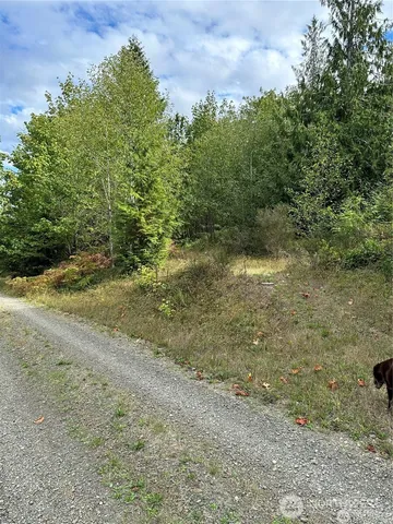 a view of outdoor space and trees