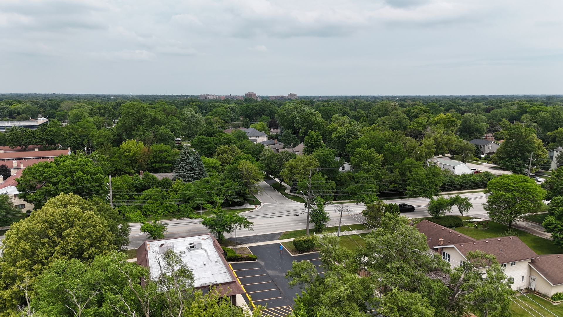 1017 South Ridge Avenue Arlington Heights, IL 60005 - Photo 12 of 12