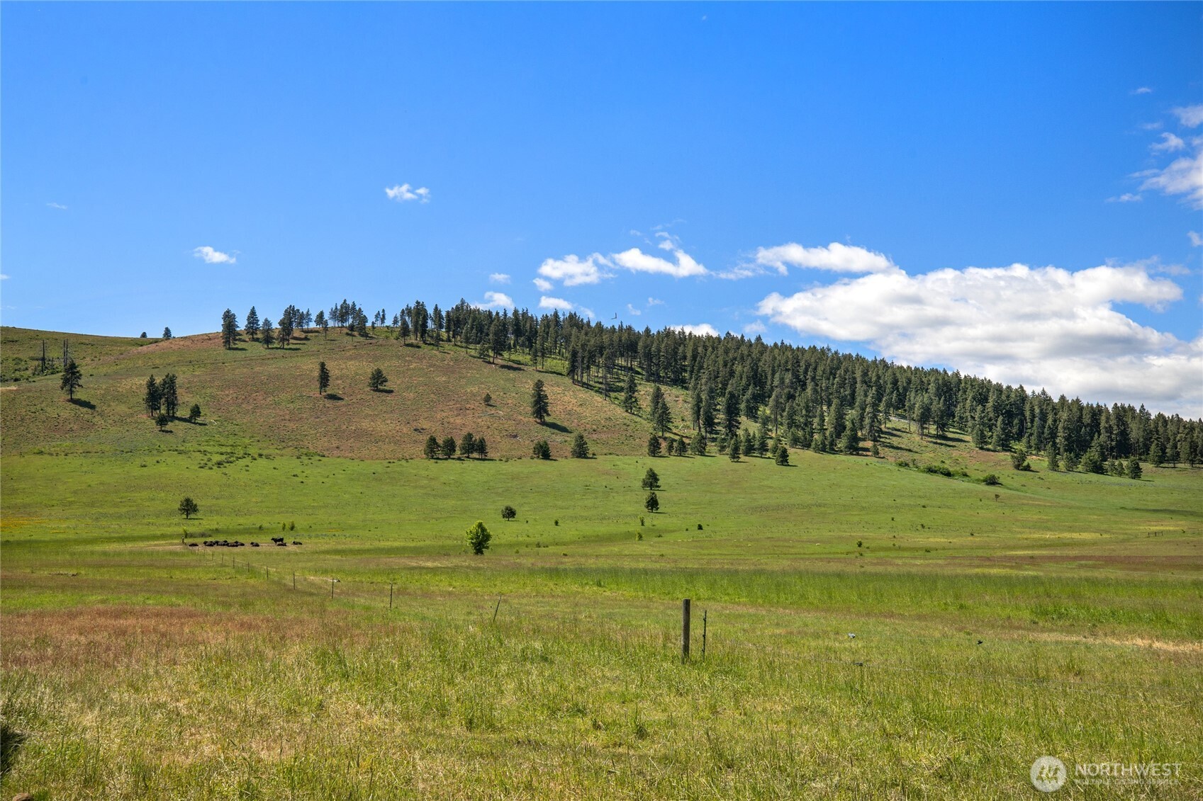 1371 Bettas Road Cle Elum, WA 98922 - Photo 31 of 40