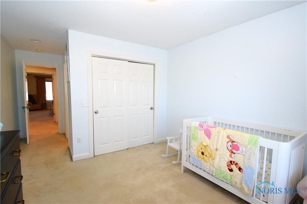 2565 Spruce Loop Road Sylvania, OH 43560 - Photo 43 of 50 Gallery Image 43