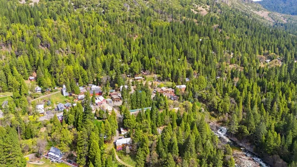 a view of a lush green outdoor space with lots of bushes