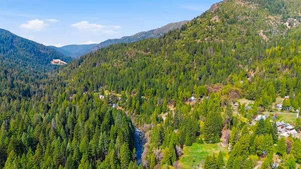 a view of a lush green field with a mountain in the background