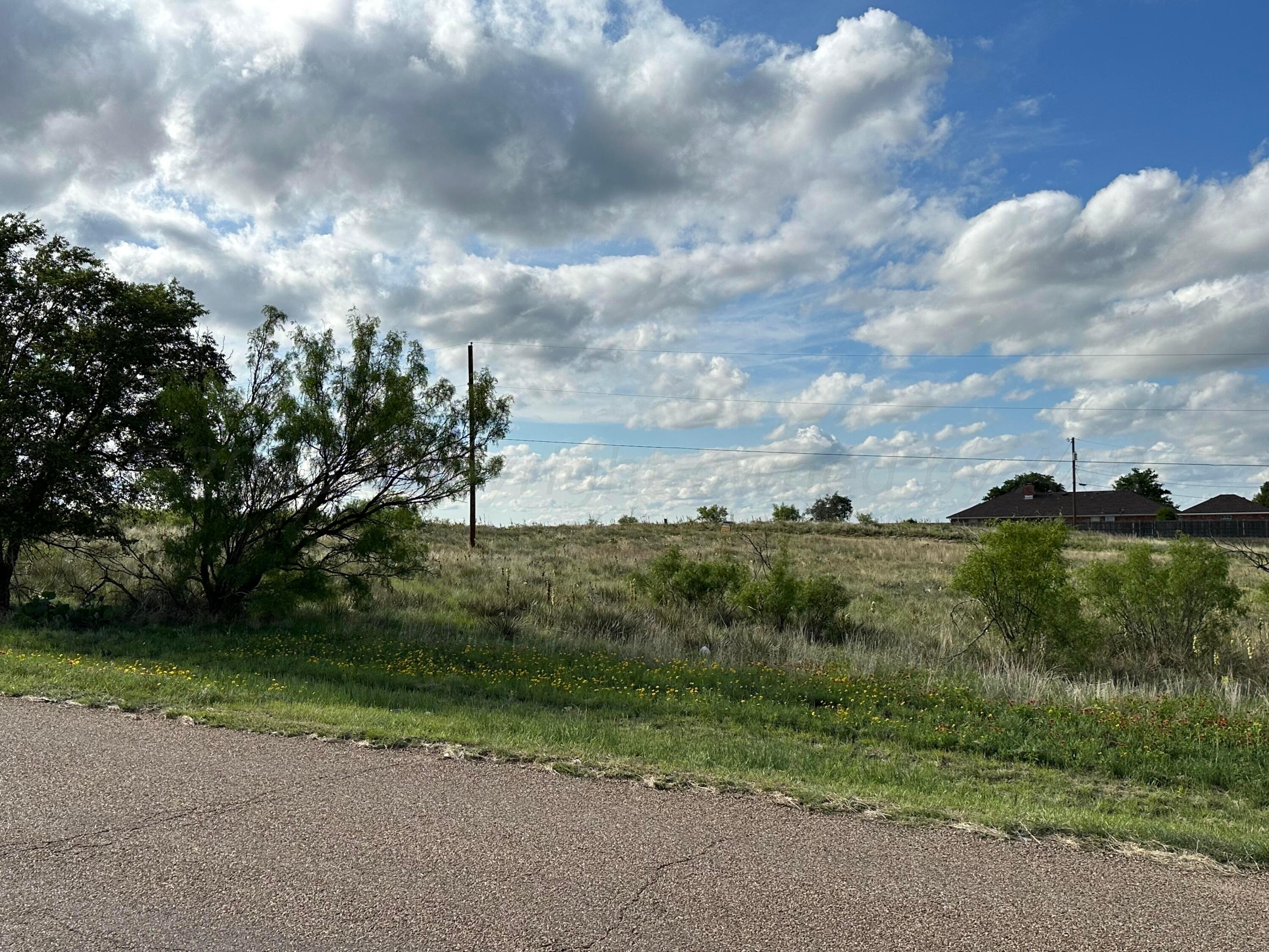 0 Lakeview Drive Fritch, TX 79036 - Photo 11 of 18 a view of a green yard