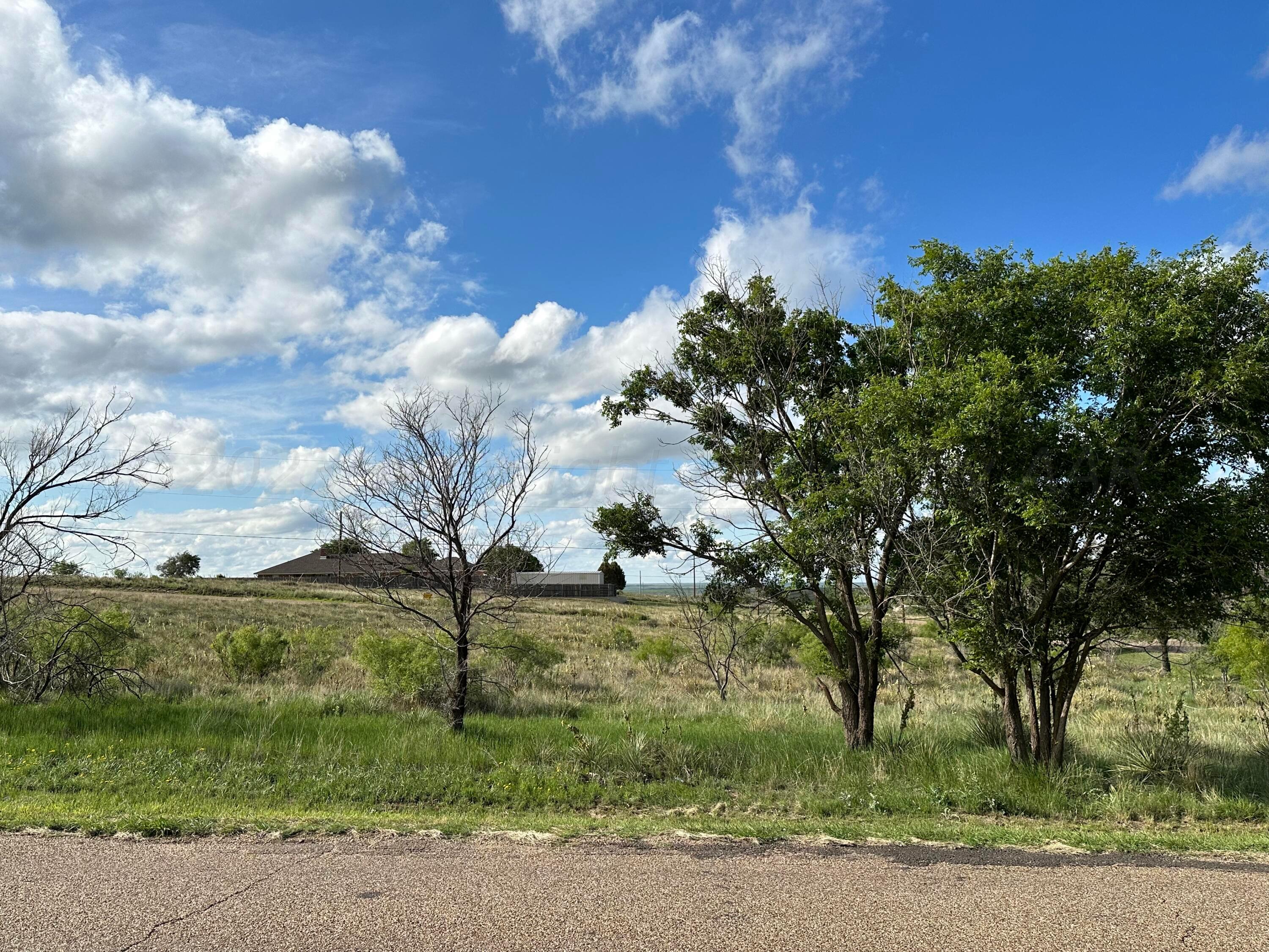 0 Lakeview Drive Fritch, TX 79036 - Photo 6 of 18 a view of a garden with plants and large trees