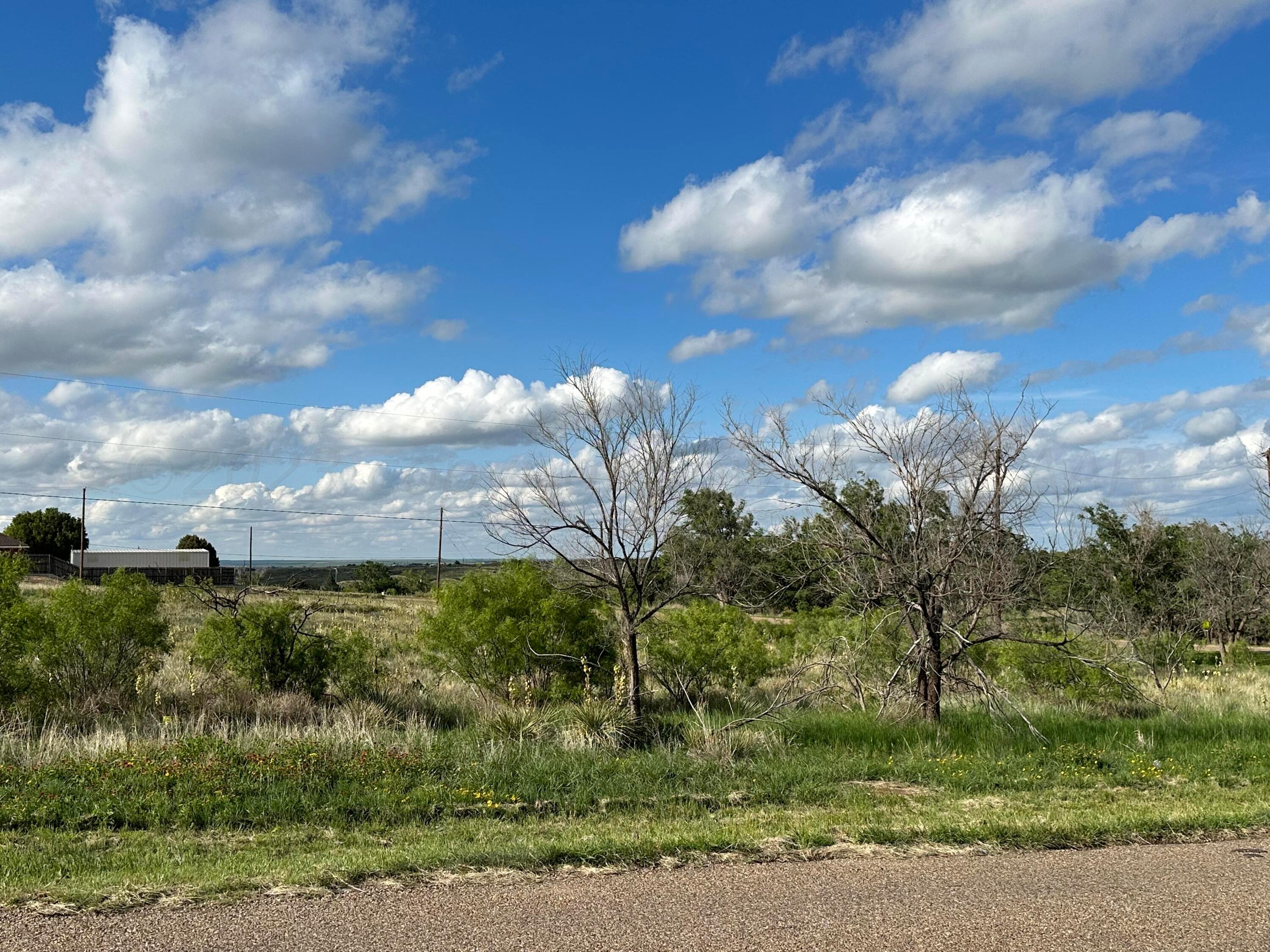0 Lakeview Drive Fritch, TX 79036 - Photo 7 of 18 a view of a city with lush green forest