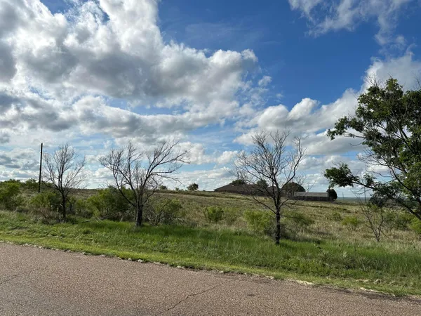 a view of a yard with flower plants and large tree