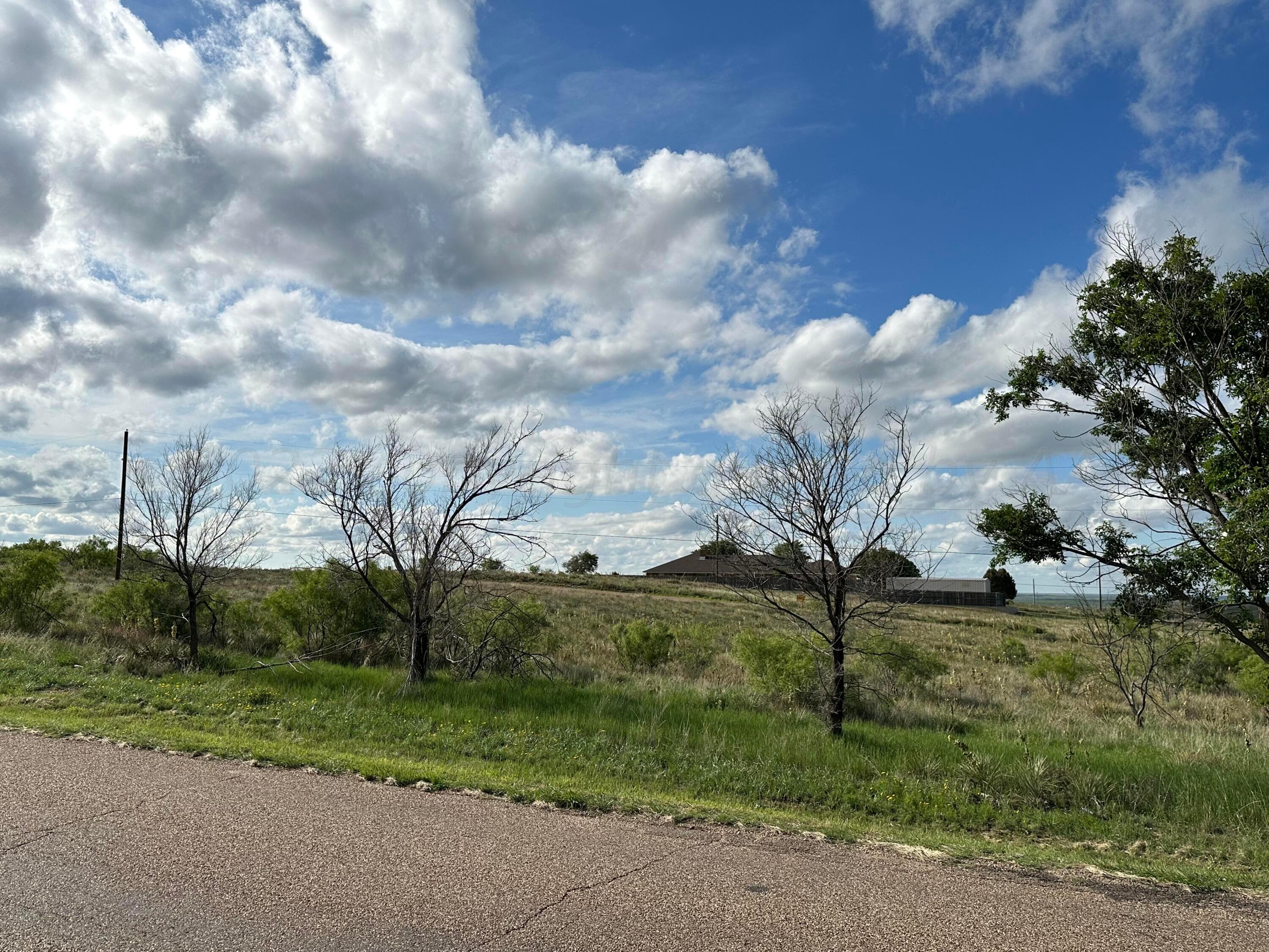 0 Lakeview Drive Fritch, TX 79036 - Photo 9 of 18 a view of a yard with flower plants and large tree