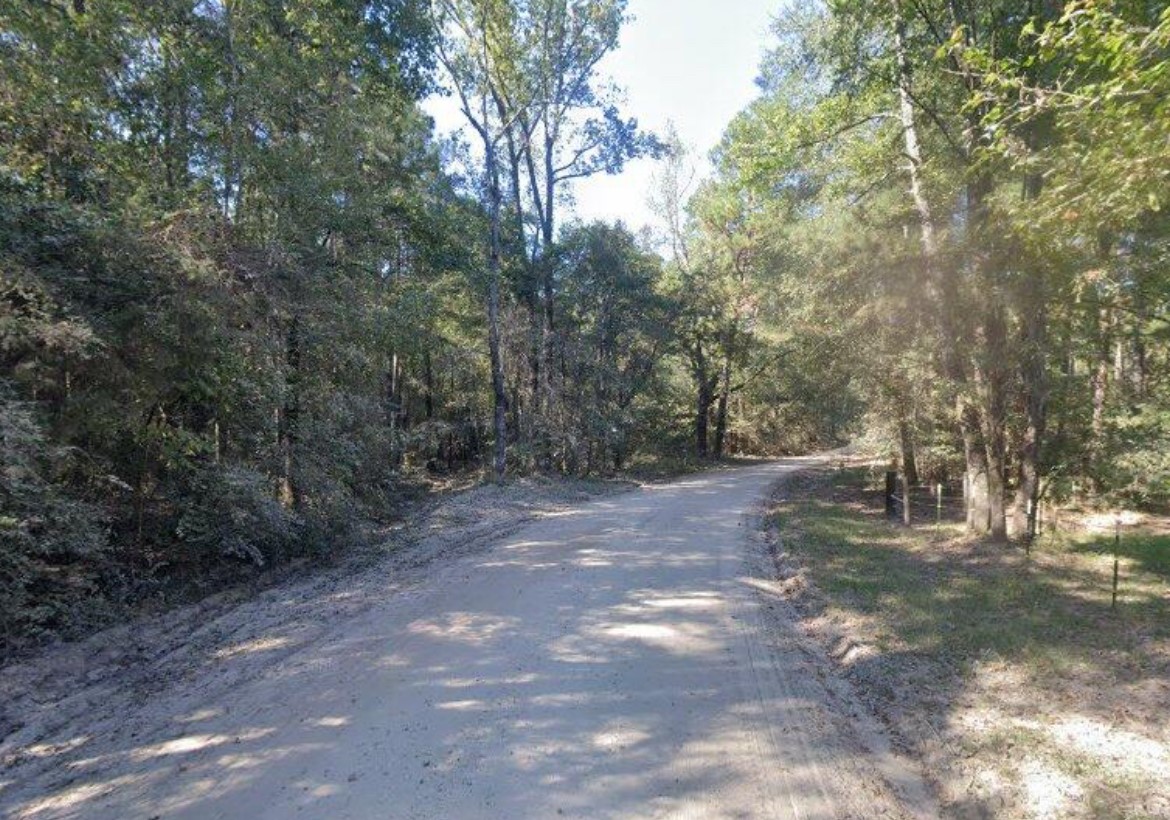 0 9 Bridge Road Corrigan, TX 75939 - Photo 5 of 22 Nice trails throughout