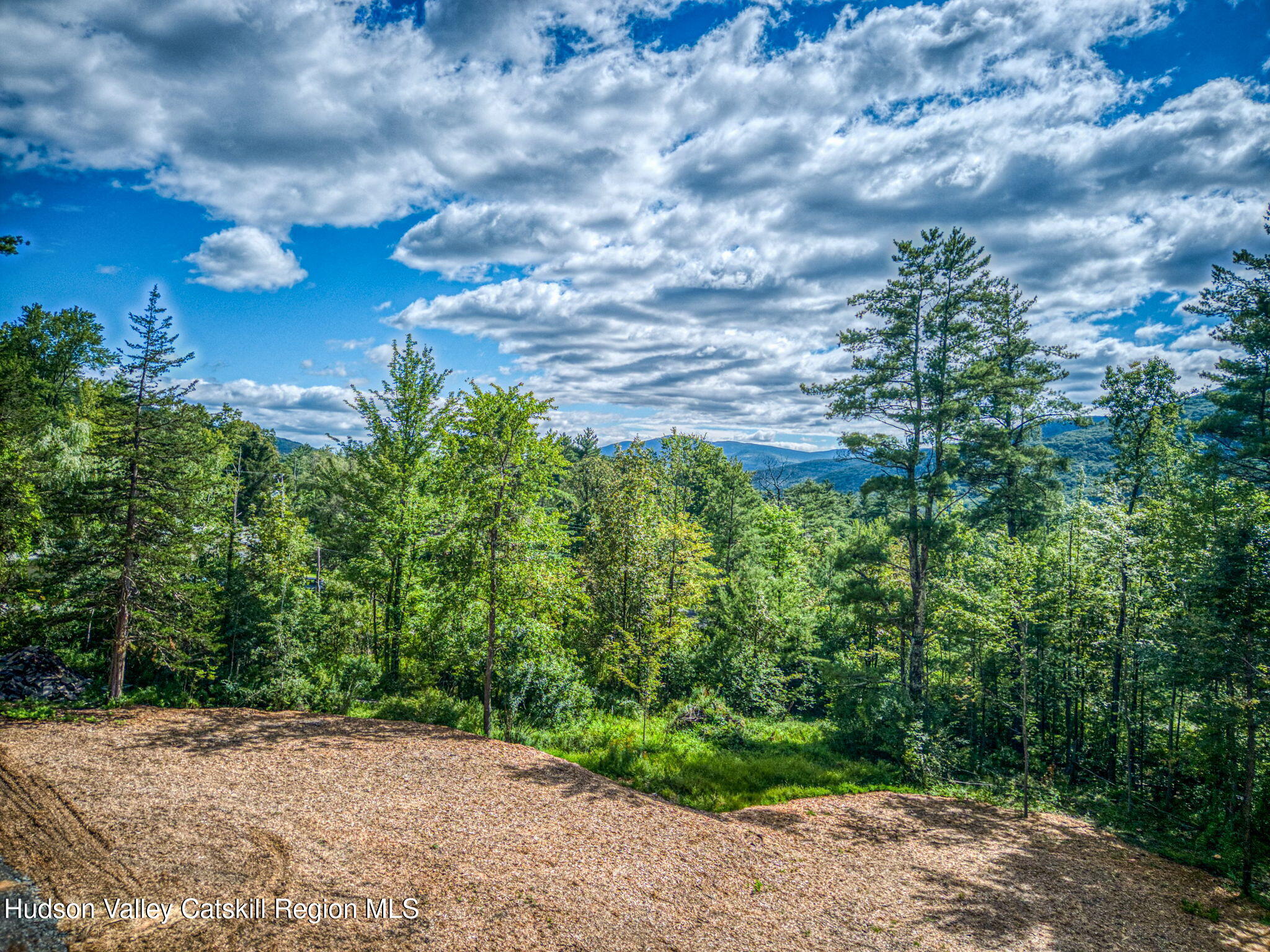 Tbd Carle Road Mount Tremper, NY 12457 - Photo 11 of 21 8-Carle (7)