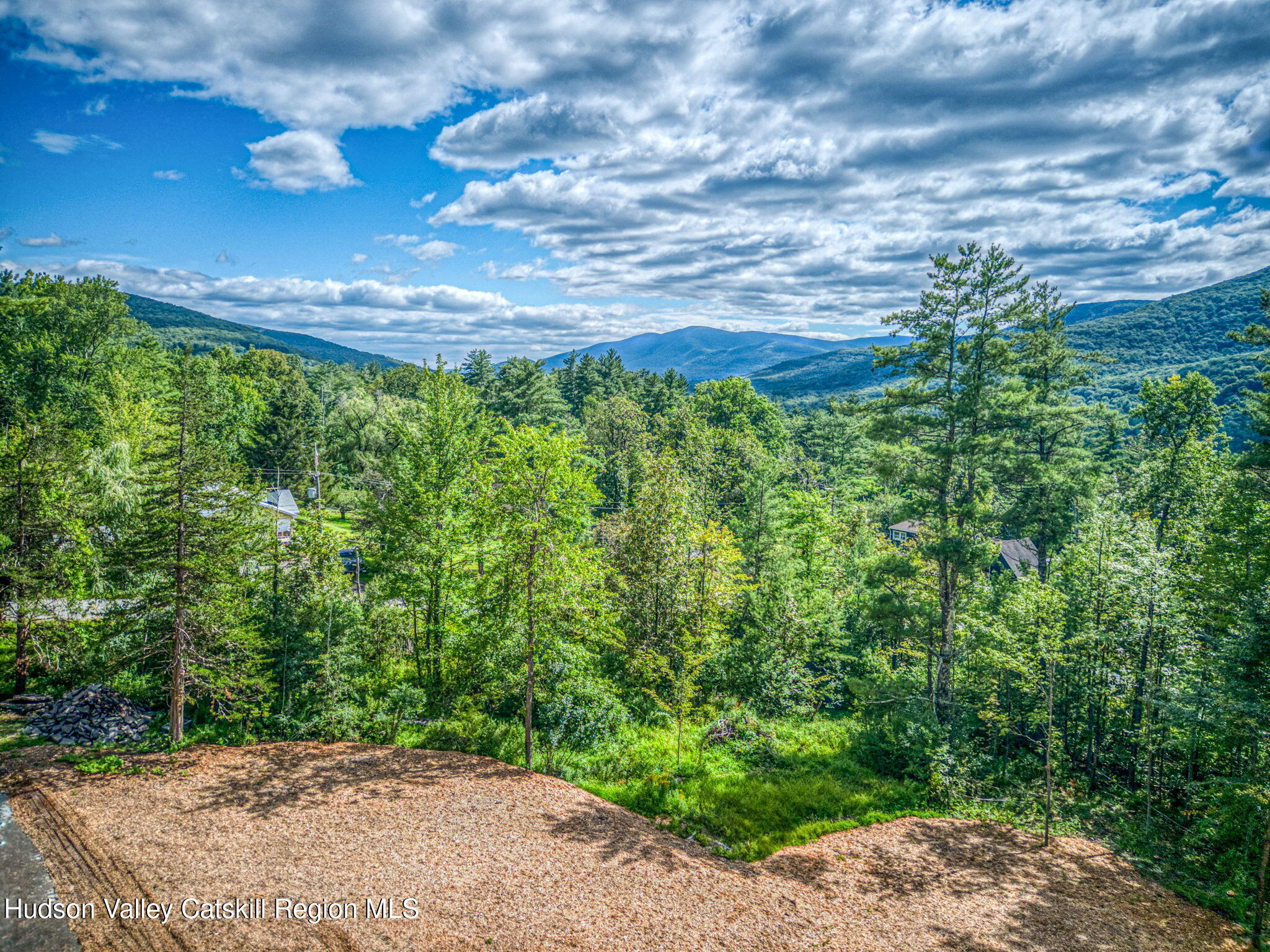 Tbd Carle Road Mount Tremper, NY 12457 - Photo 12 of 21 8-Carle (9)