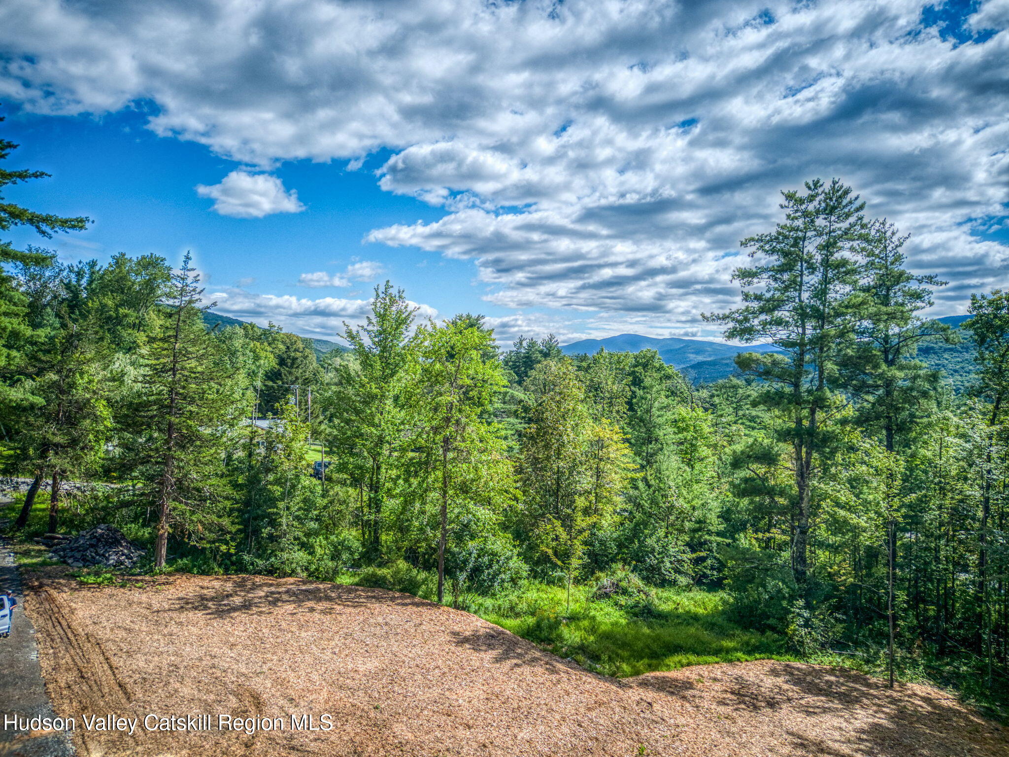 Tbd Carle Road Mount Tremper, NY 12457 - Photo 13 of 21 8-Carle (4)