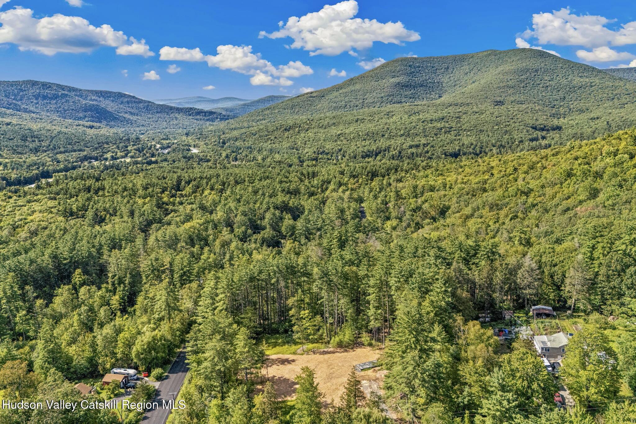 Tbd Carle Road Mount Tremper, NY 12457 - Photo 19 of 21 8-carle-7