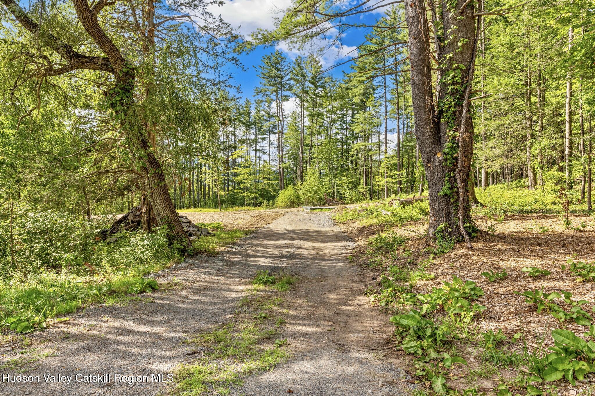Tbd Carle Road Mount Tremper, NY 12457 - Photo 2 of 21 8-carle-1