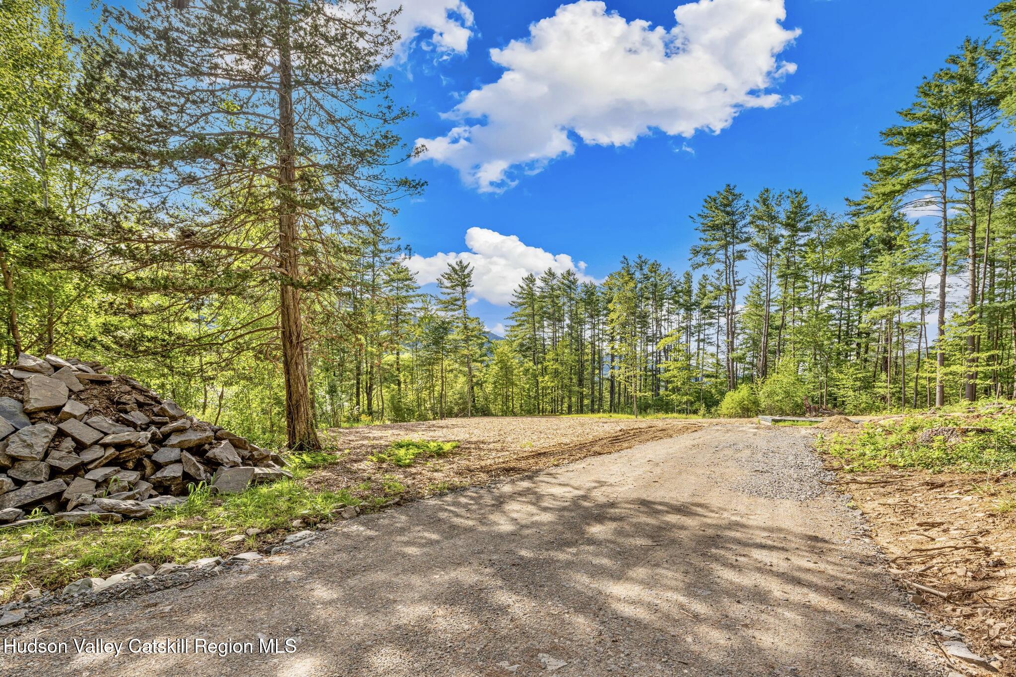 Tbd Carle Road Mount Tremper, NY 12457 - Photo 3 of 21 8-carle-2