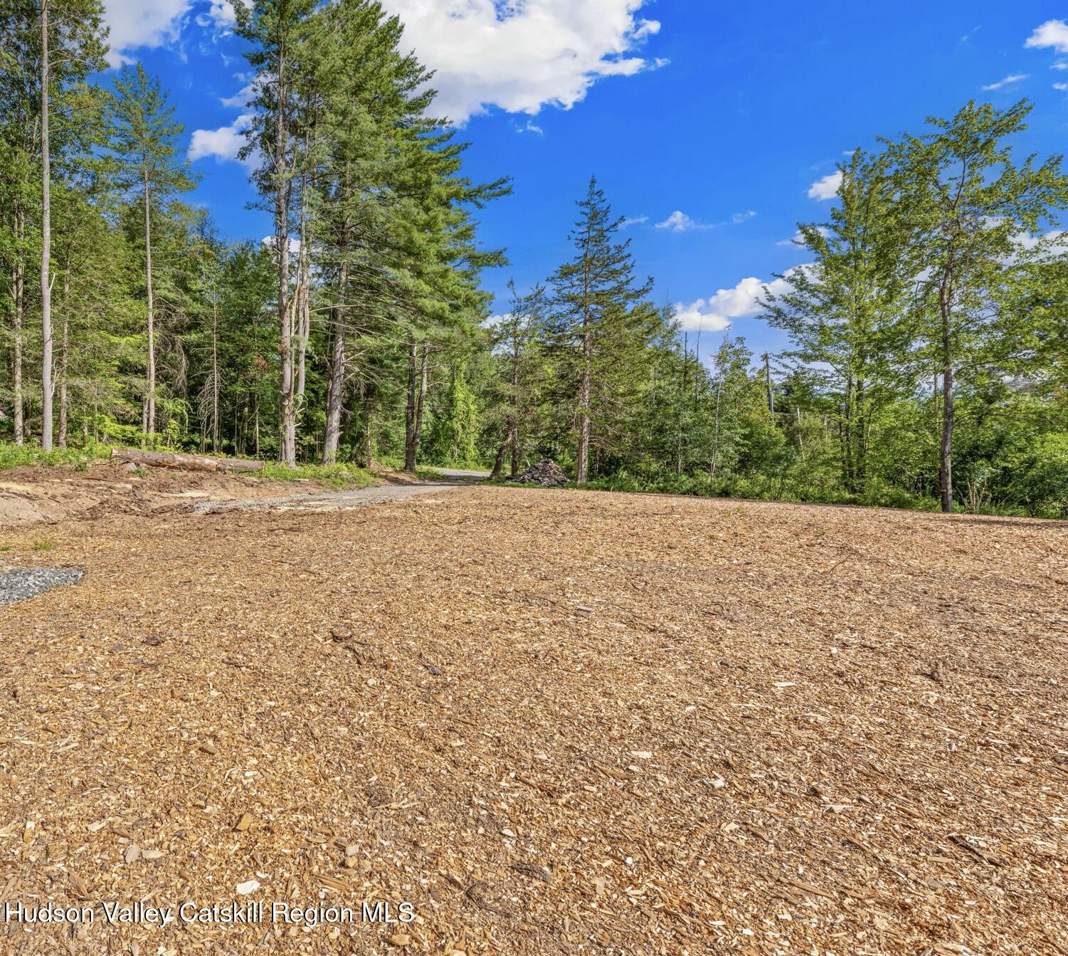 Tbd Carle Road Mount Tremper, NY 12457 - Photo 4 of 21 BA86E27A-2E28-4D7D-93B6-3398E9814CBA_1_2