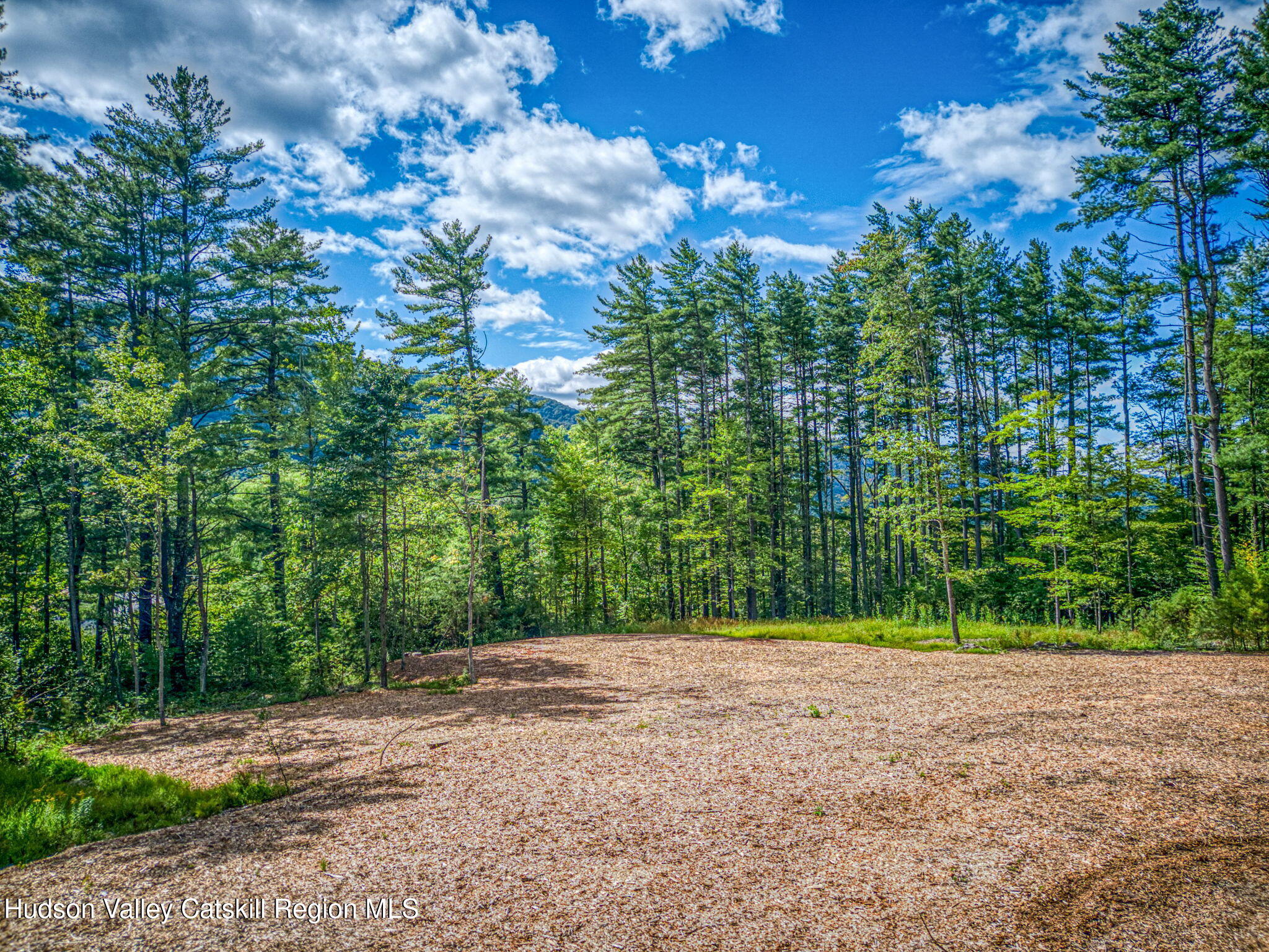 Tbd Carle Road Mount Tremper, NY 12457 - Photo 5 of 21 8-Carle (5)