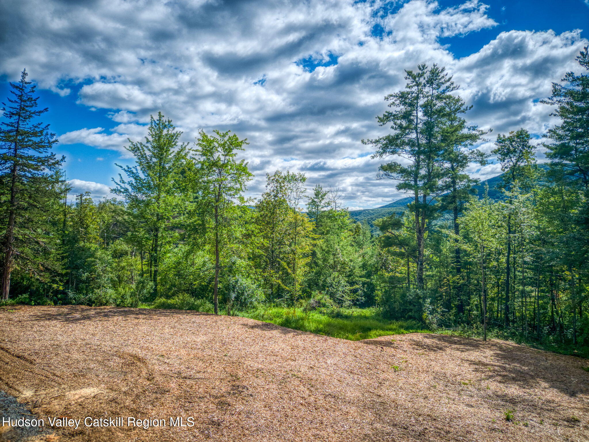 Tbd Carle Road Mount Tremper, NY 12457 - Photo 6 of 21 8-Carle (1)