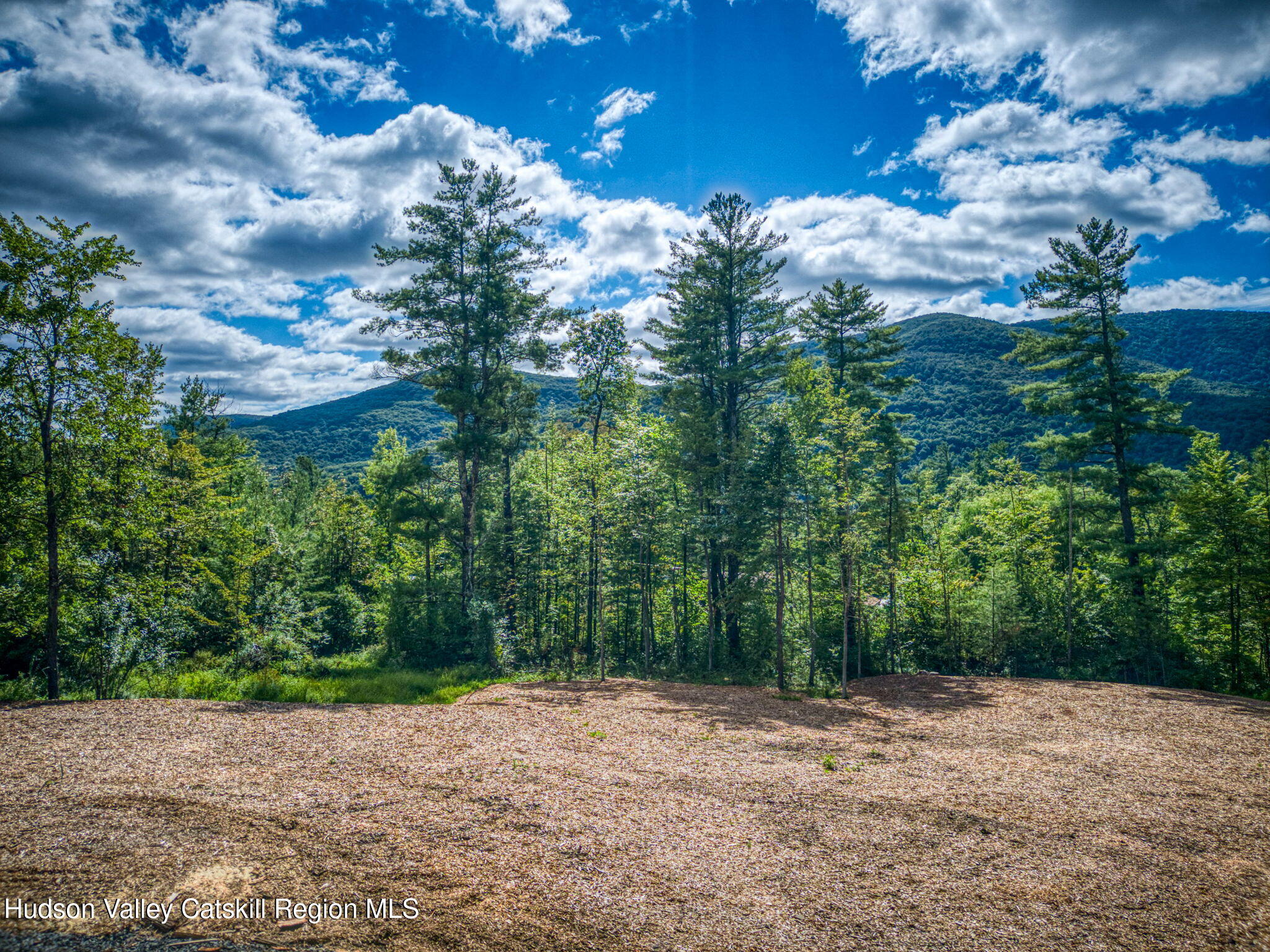 Tbd Carle Road Mount Tremper, NY 12457 - Photo 7 of 21 8-Carle (2)