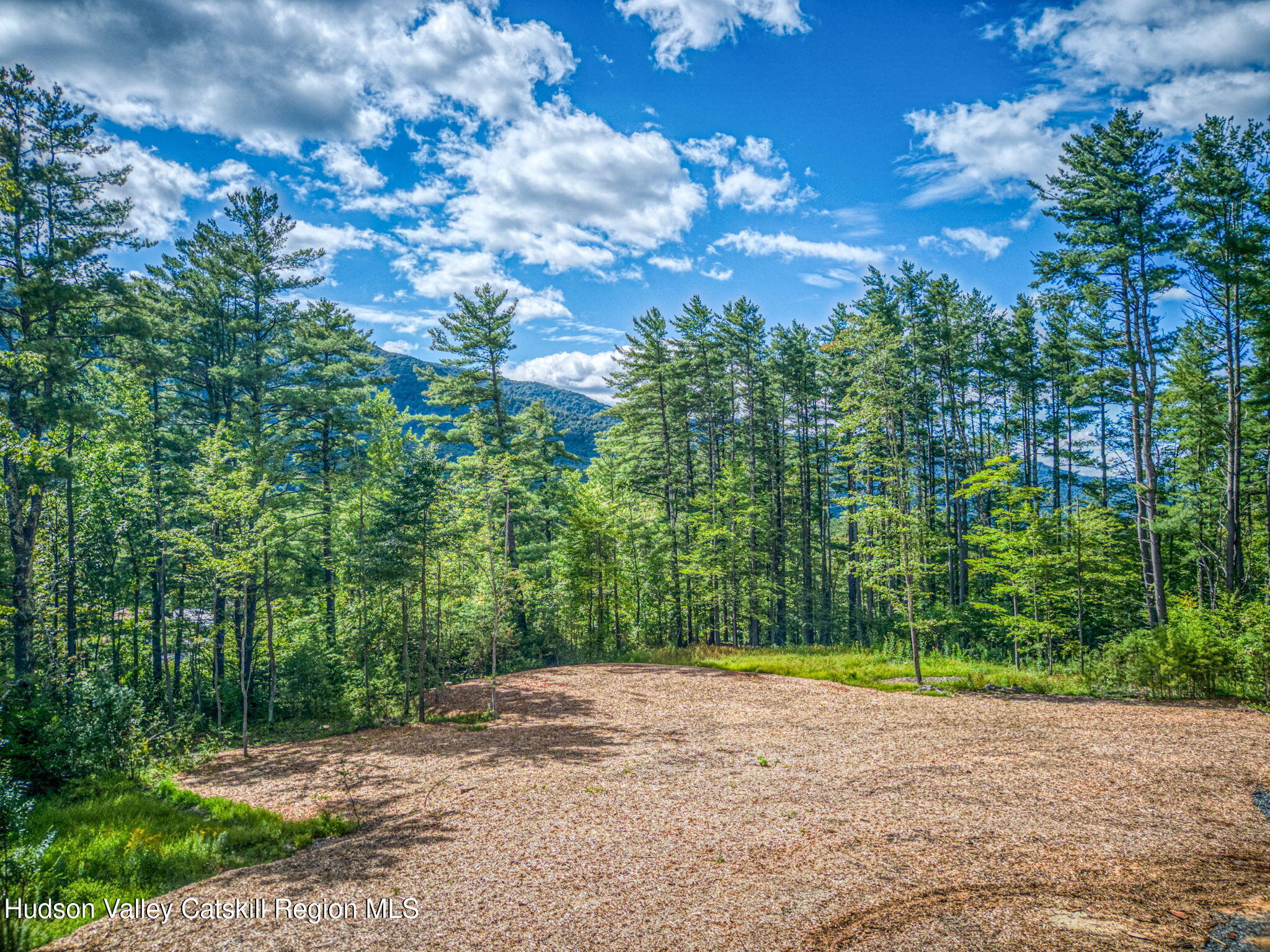 Tbd Carle Road Mount Tremper, NY 12457 - Photo 8 of 21 8-Carle (6)