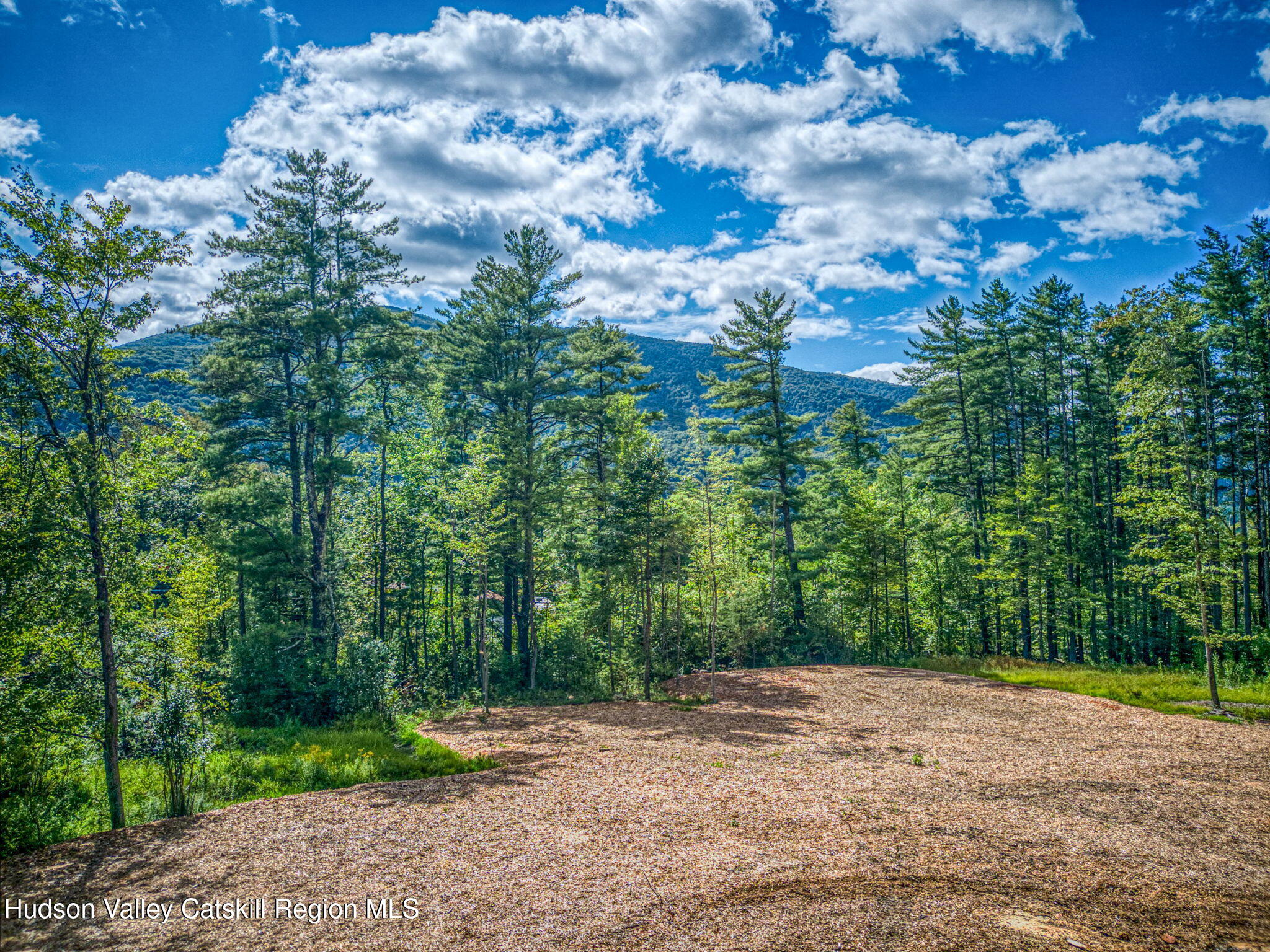 Tbd Carle Road Mount Tremper, NY 12457 - Photo 9 of 21 8-Carle (11)