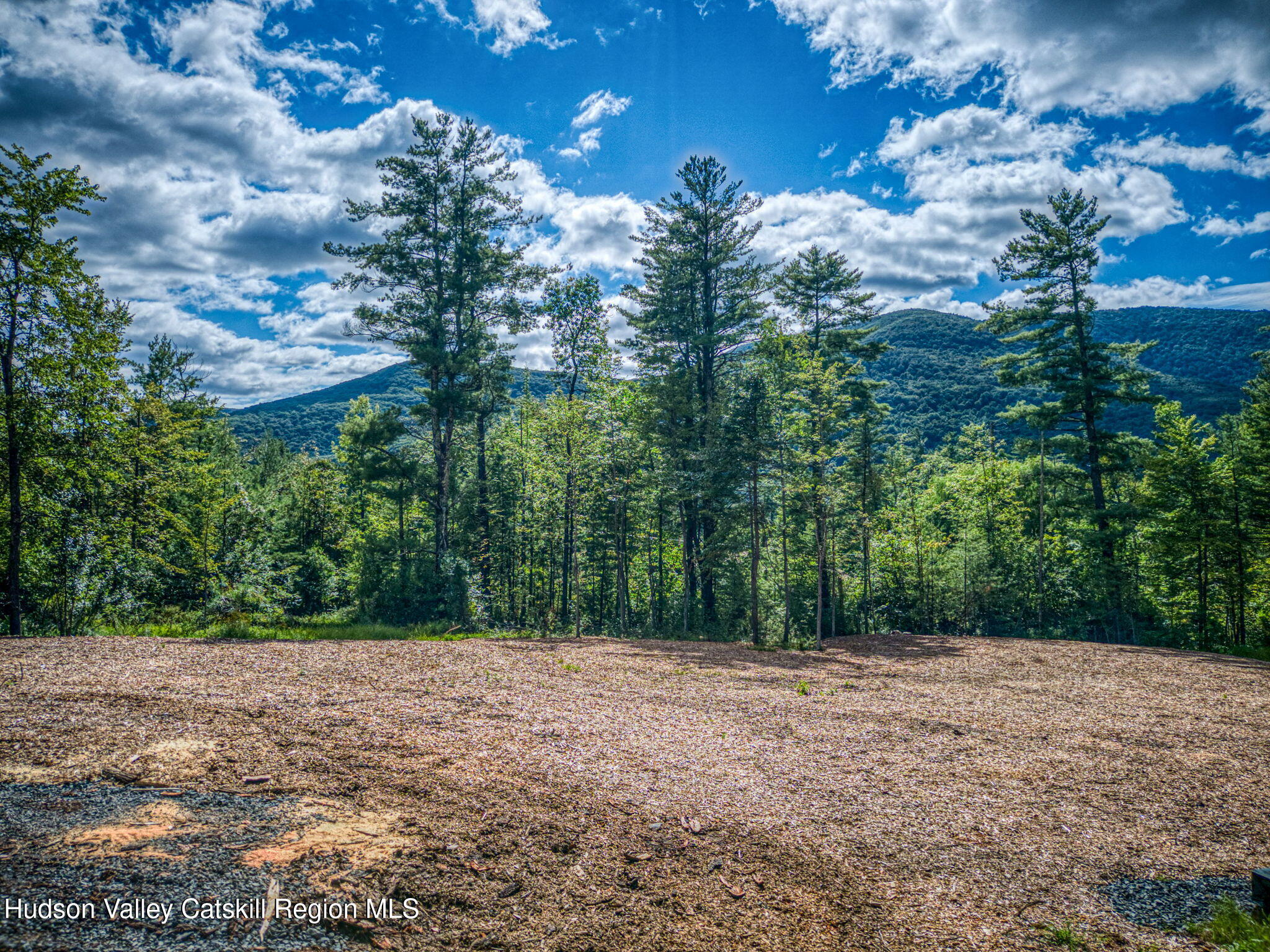 Tbd Carle Road Mount Tremper, NY 12457 - Photo 10 of 21 8-Carle (3)