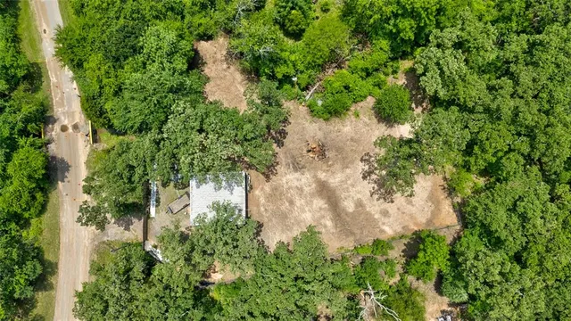 a view of a garden with plants