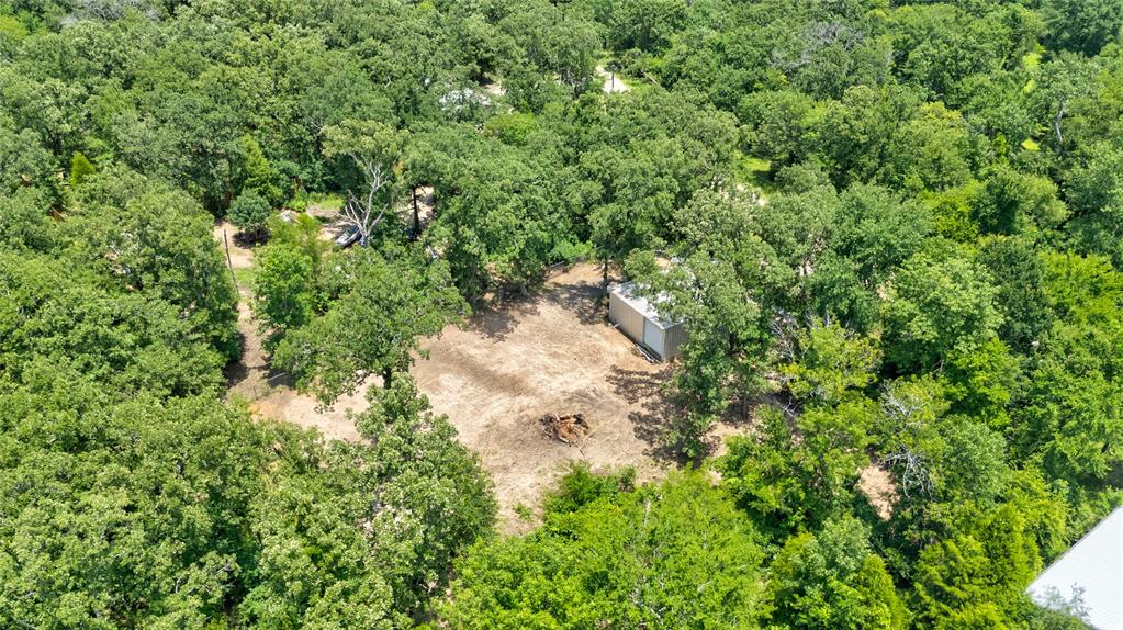 136 Kings Row Malakoff, TX 75148 - Photo 17 of 22 a view of a forest with a tree