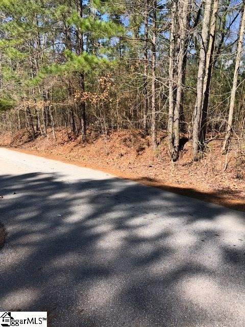 Cane Creek Ridge Road Waterloo, SC 29384 - Photo 1 of 4
