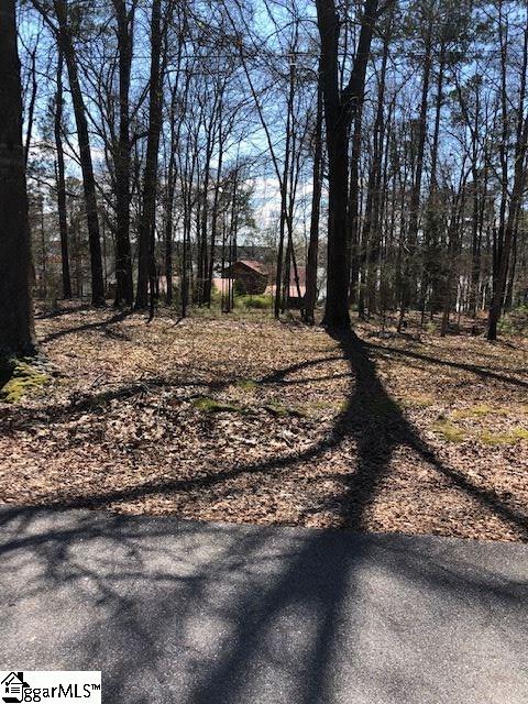 Cane Creek Ridge Road Waterloo, SC 29384 - Photo 2 of 4