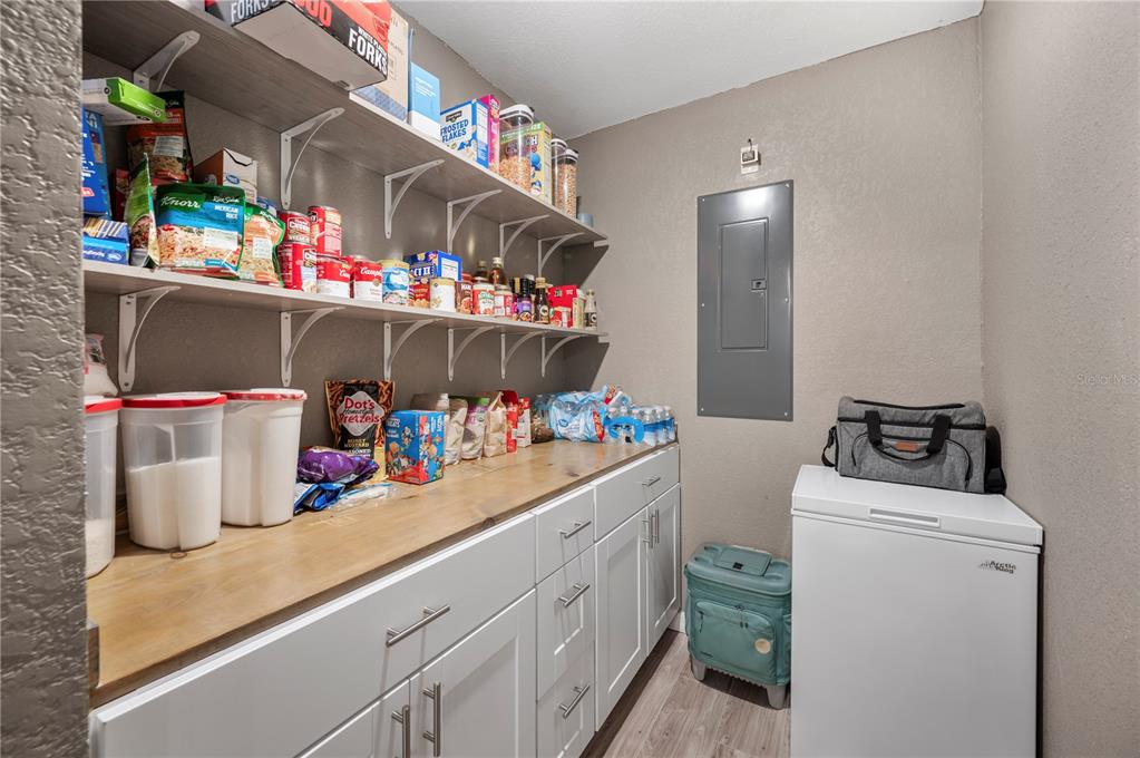 6830 County Line Road Lakeland, FL 33811 - Photo 15 of 32 a room with storage and utility