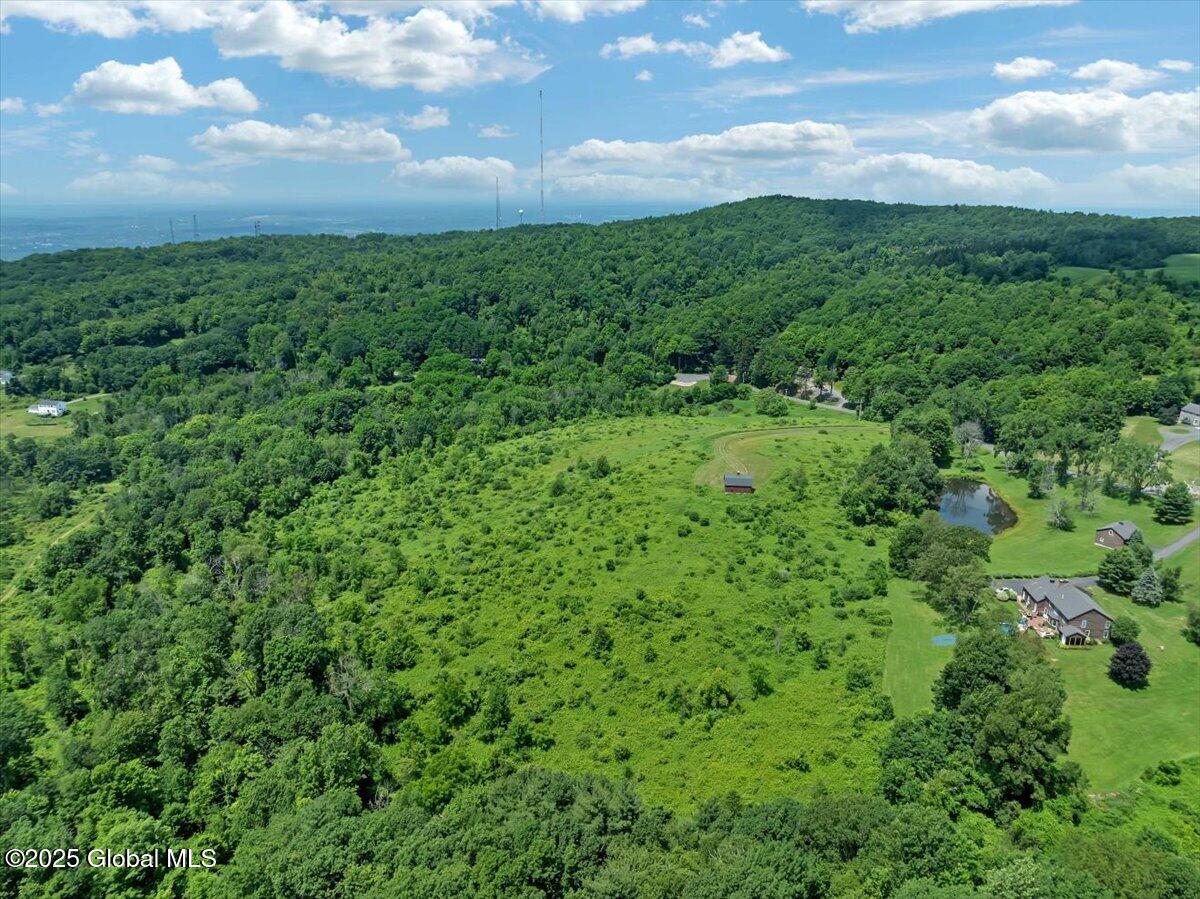 274 Bald Mountain Road Brunswick, NY 12180 - Photo 17 of 22 06-DJI_0440