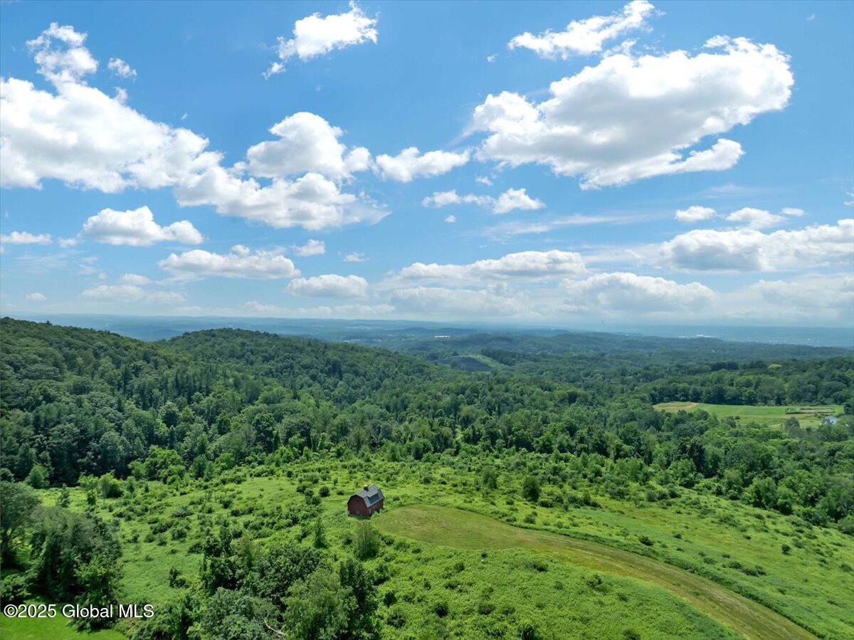 274 Bald Mountain Road Brunswick, NY 12180 - Photo 18 of 22 04-DJI_0430