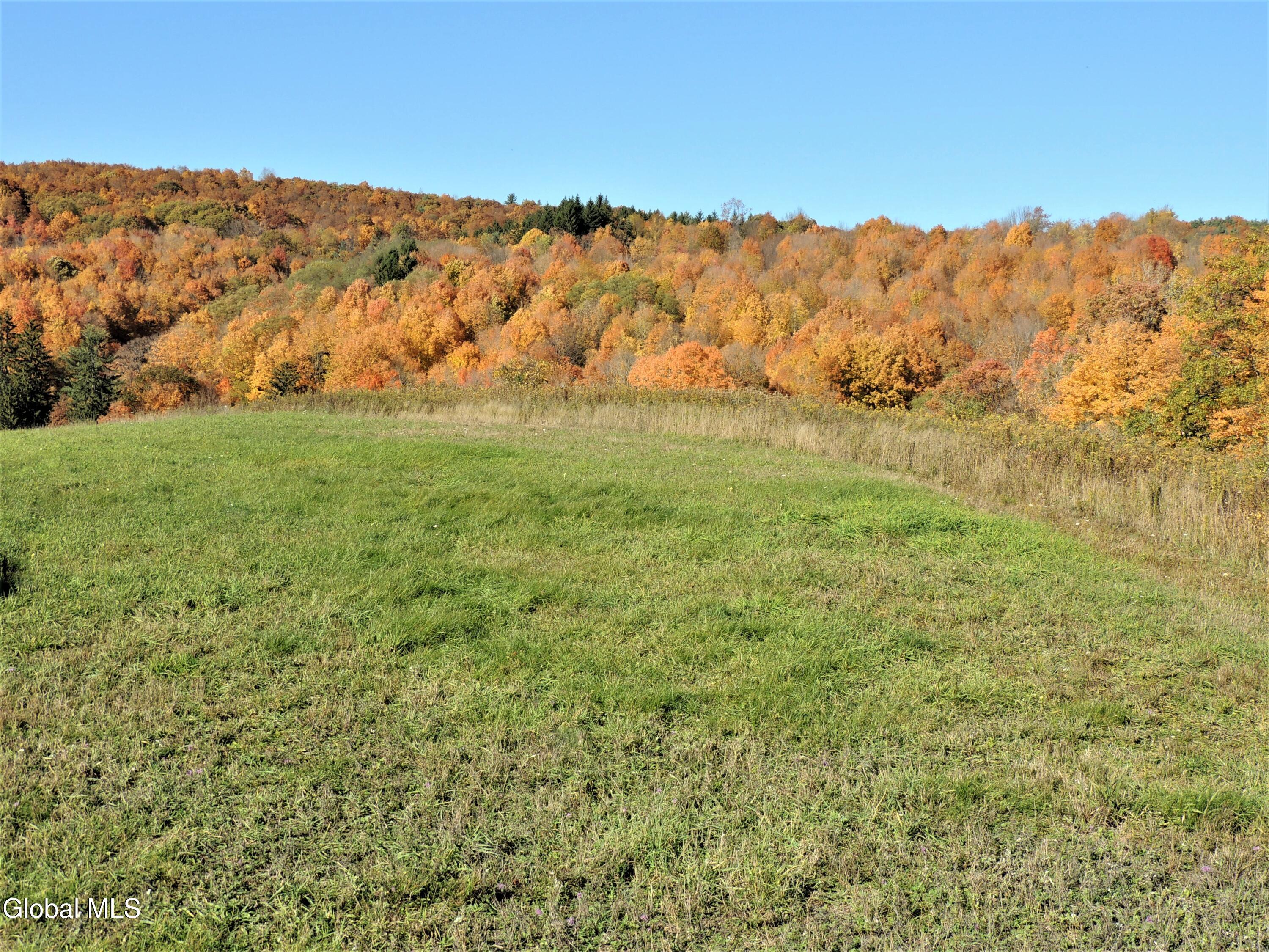 274 Bald Mountain Road Brunswick, NY 12180 - Photo 5 of 22 fall pics 2 - bald mountain rd