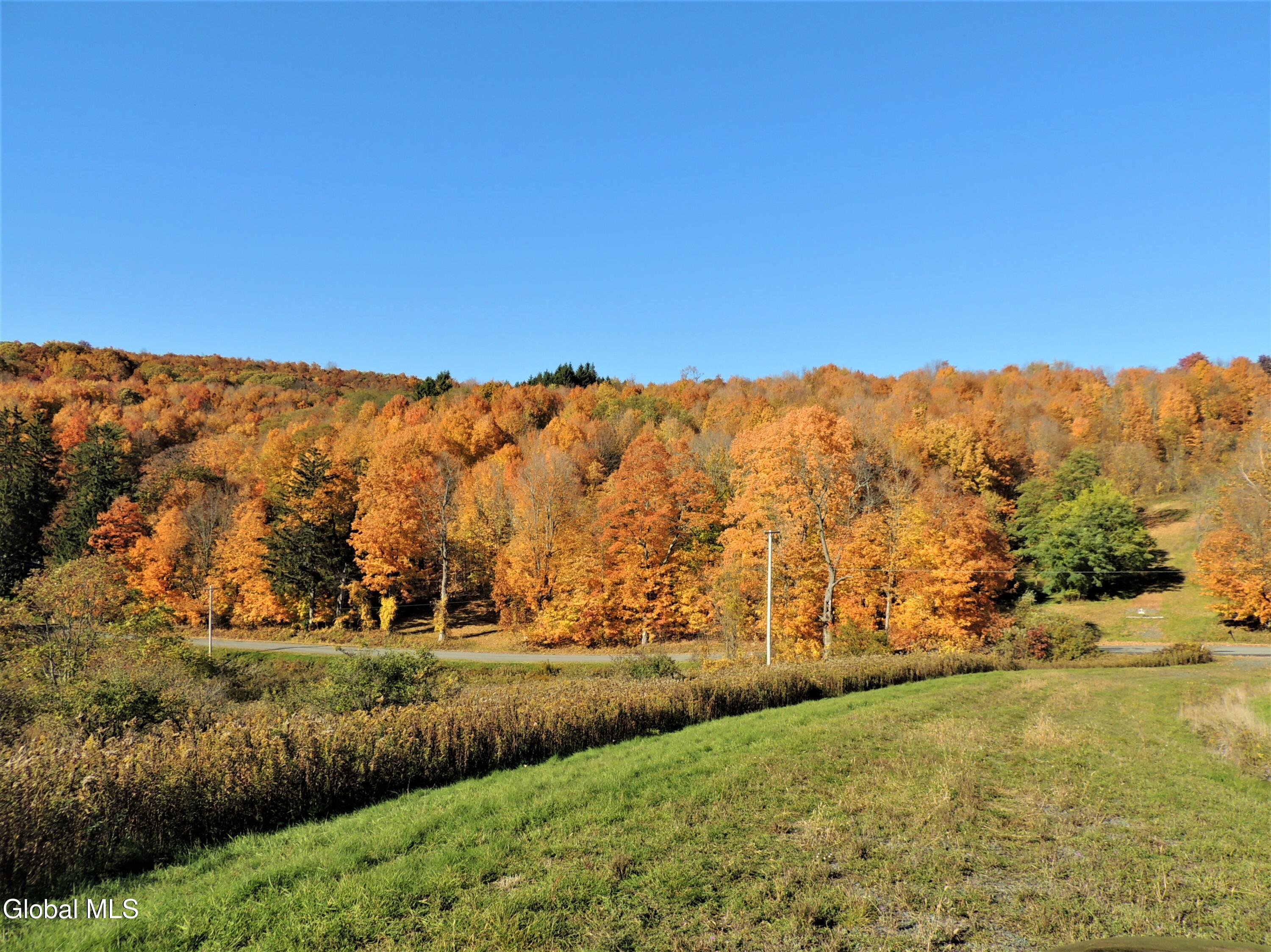 274 Bald Mountain Road Brunswick, NY 12180 - Photo 6 of 22 fall pic one - bald mountain rd