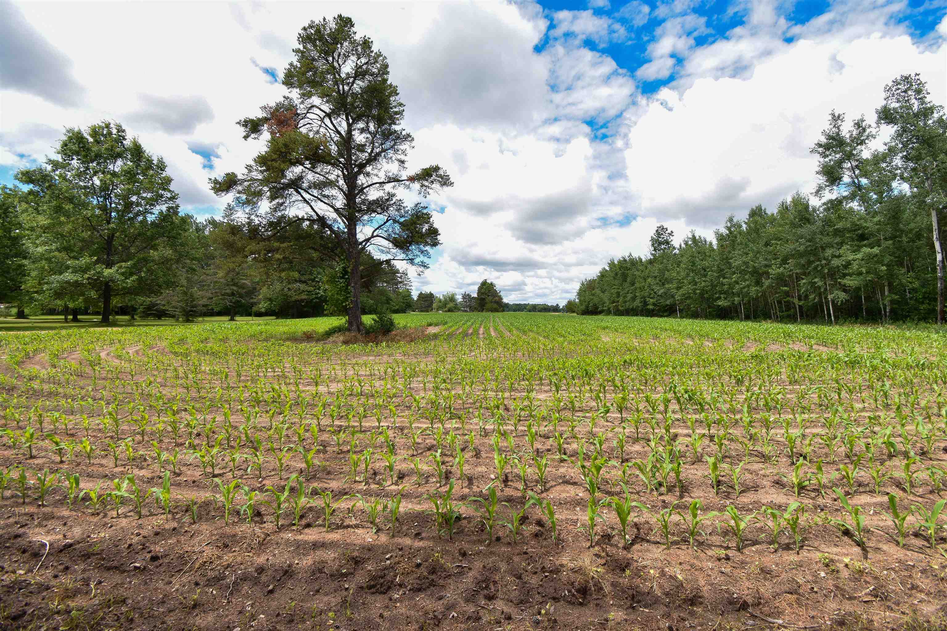 2633 Pioneer Road Stevens Point, WI 54482 - Photo 11 of 11