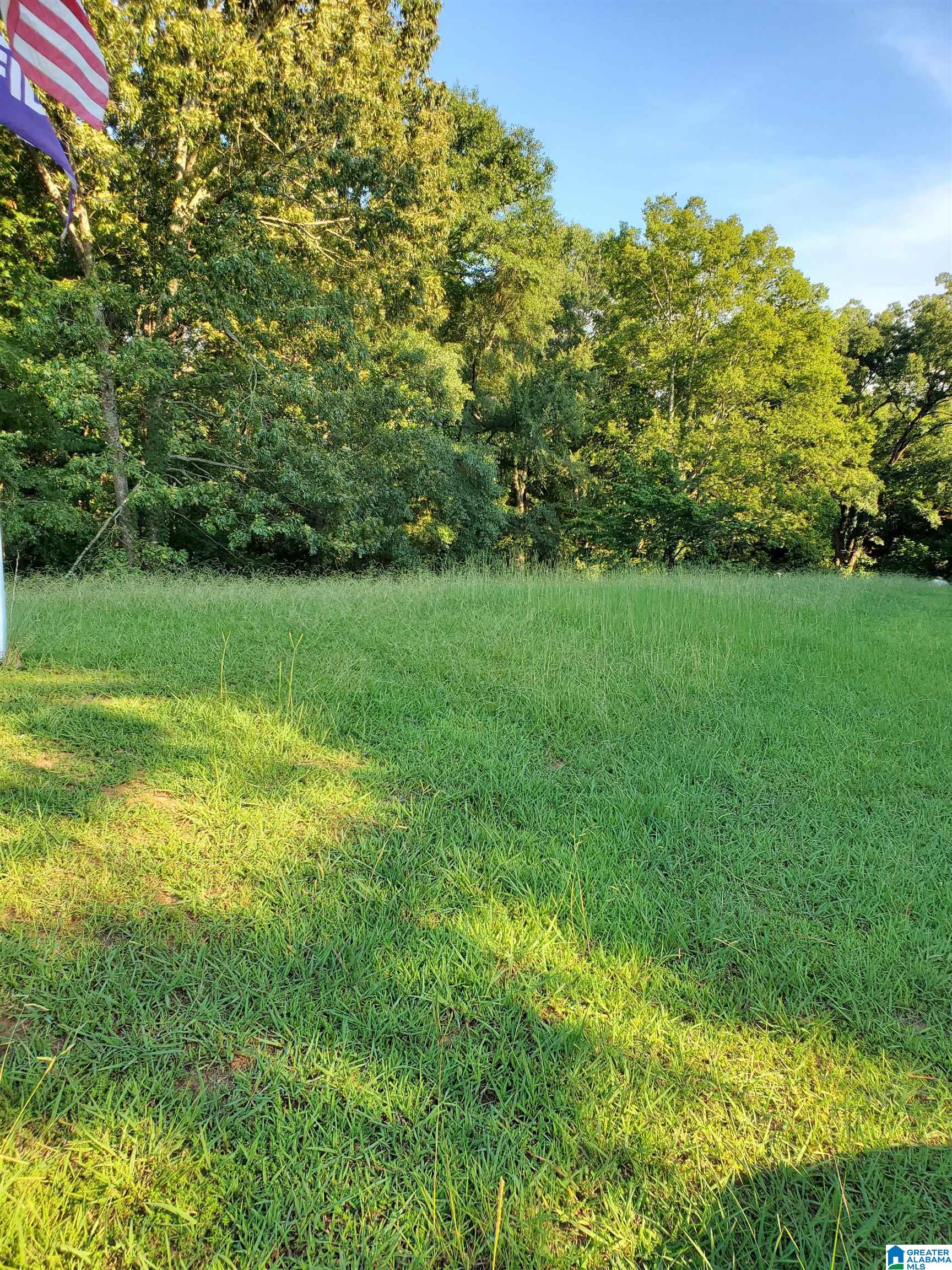 80 County Road 72 Danville, AL 35619 - Photo 10 of 11