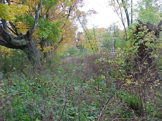Land