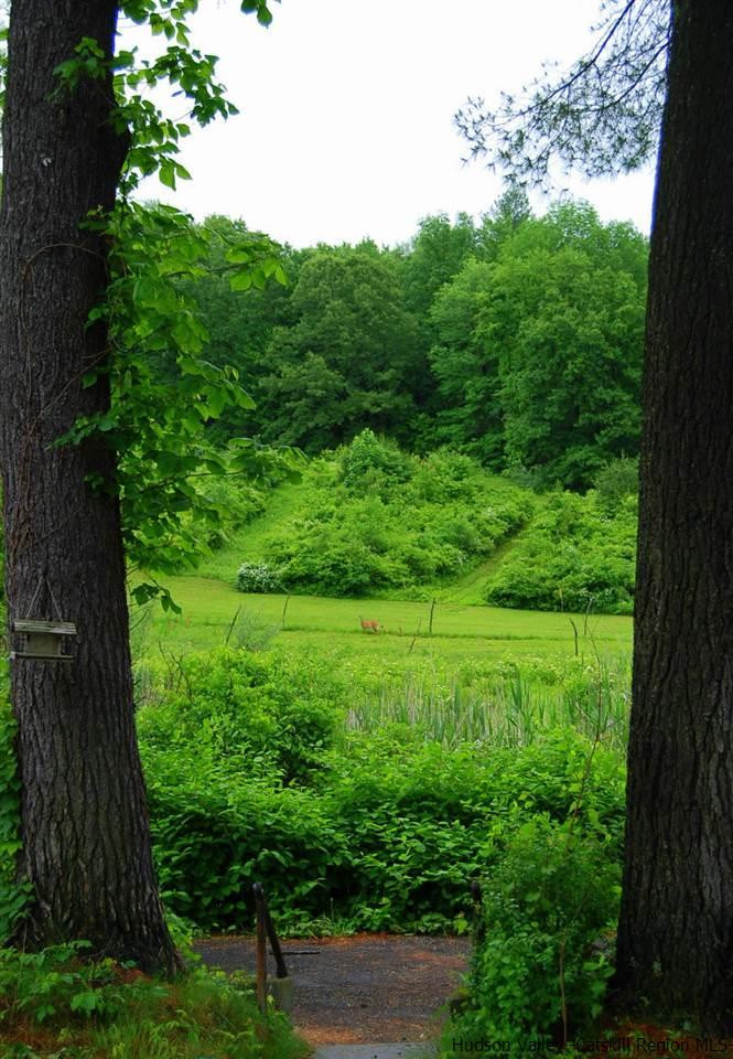 619 Creek Locks Road Rosendale, NY 12472 - Photo 3 of 24 Photo 3