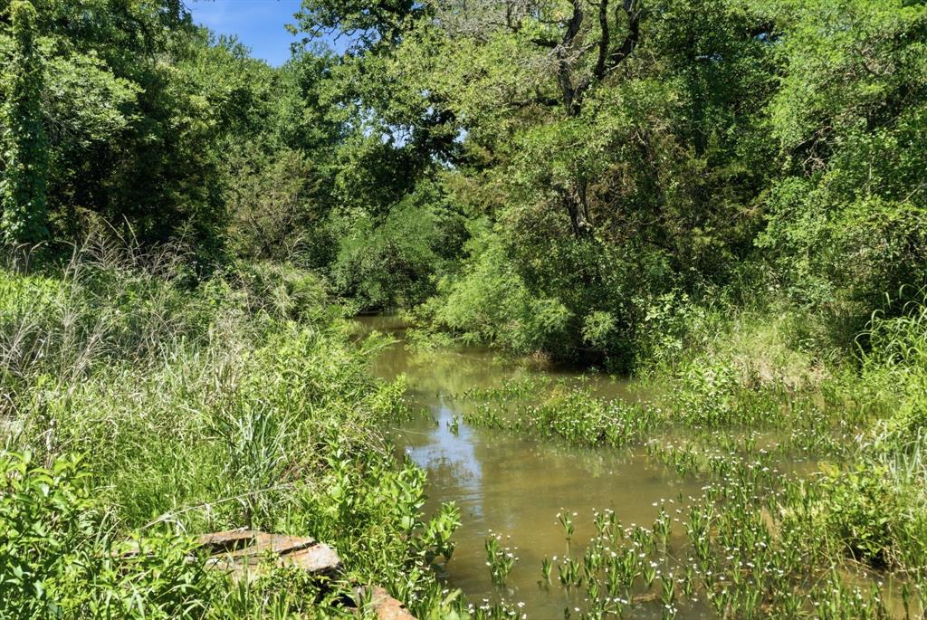4320 Dobbs Valley Road Millsap, TX 76066 - Photo 19 of 40 a view of a garden